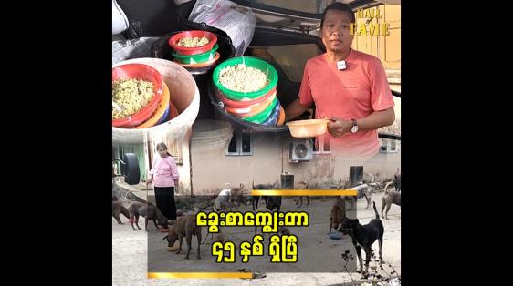 Embedded thumbnail for ခွေးစာကျွေးတာ ၄၅ နှစ် ရှိပြီ 