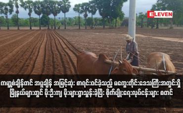 Embedded thumbnail for ကမ္ဘာ့စံချိန်တင် အပူချိန် အမြင့်ဆုံး စာရင်းဝင်ခဲ့သည့် မကွေးတိုင်းဒေသကြီးအတွင်းရှိ မြို့နယ်များတွင် မိုးဦးကျ မိုးများရွာသွန်းခဲ့ပြီး စိုက်ပျိုးရေးလုပ်ငန်းများ စတင်