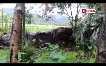 Embedded thumbnail for တနသာင်္ရီတိုင်းဒေသကြီး မြိတ်နှင့်ကျွန်းစုမြို့နယ်ရှိကျေးရွာတစ်ချို့တွင်မိုးသက်လေပြင်းဒဏ်ကြောင့်နေအိမ်များပြိုလဲခဲ့
