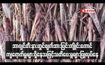 Embedded thumbnail for အာဂျင်တီးနားတွင် ဖျက်အားပြင်း ကျိုင်းကောင်ကျရောက်မှုများရှိနေသဖြင့်သတိပေးမှုများပြုလုပ်နေ (ရုပ်သံ)