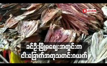 Embedded thumbnail for ခင်ဦးမြို့မစျေးအတွင်းငါးခြောက်အတုများရောင်းနေသည်ဟုကောလာဟလထွက်ခဲ့မှုကြောင့်ငါးခြောက်ဈေးသည်များအရောင်းအဝယ်ရပ်တန့် (ရုပ်သံ)