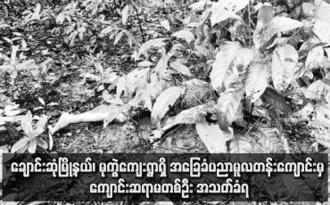 Embedded thumbnail for ချောင်းဆုံမြို့နယ်၊ မုကွဲကျေးရွာရှိ အခြေခံပညာမူလတန်းကျောင်းမှ ကျောင်းဆရာမတစ်ဦး အသတ်ခံရ