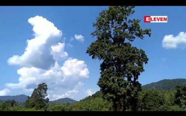 Embedded thumbnail for မန္တလေးတိုင်းဒေသကြီးအတွင်း သစ်တောစိုက်ခင်း စိုက်ပျိုးတည်ထောင်ခြင်းကို ၂၀၁၉မိုးရာသီ တွင် ဧက ၁၈ဝဝကျော် တည်ထောင်ရန်လျာထား