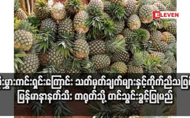 Embedded thumbnail for ပိုးမွှားကင်းရှင်းကြောင်း သတ်မှတ်ချက်များနှင့် ကိုက်ညီသဖြင့် မြန်မာနာနတ်သီး တရုတ်သို့ တင်သွင်းခွင့်ပြုမည်