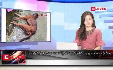 Embedded thumbnail for နိုဝင်ဘာ ၂၇ ရက် ညနေခင်းသတင်းအစီအစဉ်