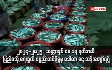 Embedded thumbnail for ၂၀၂၄-၂၀၂၅   ဘဏ္ဍာနှစ် မေ ၁၇ ရက်အထိ ပြည်ပသို့ ရေထွက် ပစ္စည်းတင်ပို့မှုမှ ဒေါ်လာ ၈၄ သန်းကျော်ရရှိ