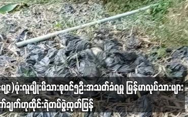 Embedded thumbnail for (မျော့)မုံးလူမျိုးမိသားစုဝင်၅ဦးအသတ်ခံရမှု မြန်မာလုပ်သားများလက်ချက်ဟုထိုင်းရဲတပ်ဖွဲ့ထုတ်ပြန်