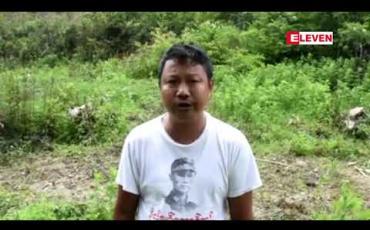 Embedded thumbnail for တောင်ကြီးမြို့ ငှက်ဘေးမဲ့တောကို ပြန်လည်ထူထောင်သွားမည် 
