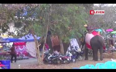 Embedded thumbnail for ထိုင်းနိုင်ငံရှိ ပွဲတော်တစ်ခုတွင် ဆင်တစ်ကောင်က မိန်းကလေးငယ်တစ်ဦးကို နှာမောင်းဖြင့် ပတ်သယ်ပြီး သောင်းကျန်းခဲ့၍ ရုတ်ရုတ်သဲသဲ ဖြစ်ခဲ့ရ 