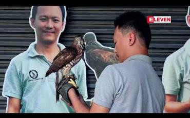 Embedded thumbnail for Falconer ကိုစိုင်းနောင်နှင့်တွေ့ဆုံခြင်း 
