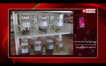 Embedded thumbnail for မိုးယွန်းကြီးအင်း သဘာဝဘေးမဲ့တောသို့ ဆောင်းခိုငှက်အချို့ စတင်ဝင်ရောက်နေပြီး အအေးဓါတ် နည်းသေးသဖြင့် ရှားပါးဆောင်းခိုငှက်များ ကျရောက်မှုနည်းပါးနေ