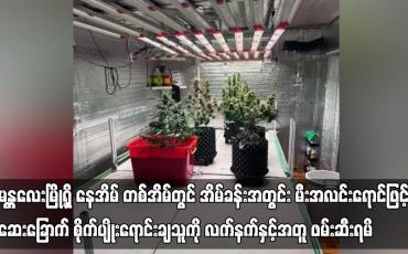 Embedded thumbnail for မန္တလေးမြို့ရှိ နေအိမ် တစ်အိမ်တွင် အိမ်ခန်းအတွင်း မီးအလင်းရောင်ဖြင့် ဆေးခြောက် စိုက်ပျိုးရောင်းချသူကို လက်နက်နှင့် အတူ ဖမ်းဆီးရမိ (ရုပ်သံ)