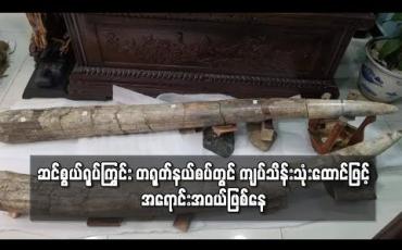 Embedded thumbnail for မြန်မာ့နိုင်ငံမှ ဆယ်စွယ်ရုပ်ကြွင်း တရုတ်နိုင်ငံနယ်စပ်မှာ ကျပ်သိန်းသုံးထောင်ဖြင့် အရောင်းအဝယ် ဖြစ်ပြီး တန်ဖိုးဆက်လက်မြင့်နေ