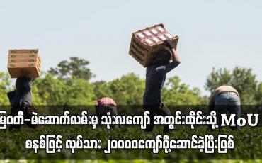 Embedded thumbnail for ထိုင်းသို့ MoU စနစ်ဖြင့် လုပ်သား ၂၀၀၀၀ကျော်ပို့ဆောင်ခဲ့ပြီးဖြစ်