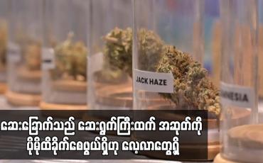 Embedded thumbnail for ဆေးခြောက်သည် ဆေးရွက်ကြီးထက် အဆုတ်ကို ပိုမိုထိခိုက်စေဖွယ်ရှိဟု လေ့လာတွေ့ရှိ