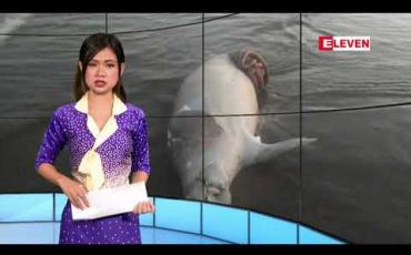 Embedded thumbnail for ဒီဇင်ဘာလ ၆ ရက်နေ့ နေ့လယ်ခင်း သတင်းအစီအစဉ်