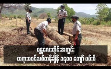 Embedded thumbnail for COVID-19 ကူးစက်ကာလ ဖြစ်ပွားနေချိန် မန္တလေးတိုင်းအတွင်း တရားမဝင်သစ် တန်ချိန် ၁၄၀၀ ကျော် ဖမ်းမိ