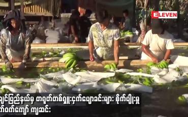 Embedded thumbnail for ဓာတ်မြေသြဇာသယ်ယူခွင့်နှင့် နယ်စပ်ဂိတ်တွင် ကပ်ရောဂါစိစစ်မှုတို့ကြောင့် ကချင်ပြည်နယ်မှ တရုတ်တစ်ရှူးငှက်ပျောခင်းများ စိုက်ပျိုးမှုထက်ဝက်ကျော် ကျဆင်း