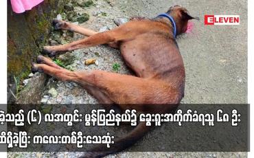 Embedded thumbnail for ပြီးခဲ့သည့် (၆) လအတွင်း မွန်ပြည်နယ်၌ ခွေးရူးအကိုက်ခံရသူ ၆၈ ဦးအထိရှိခဲ့ပြီး ကလေးတစ်ဦးသေဆုံး