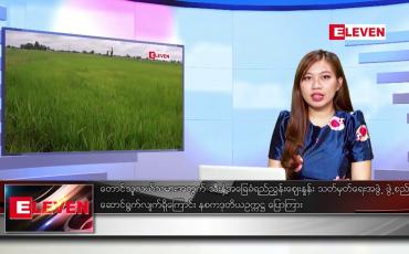 Embedded thumbnail for မတ် ၁၆ ရက်နေ့ ညပိုင်းသတင်း အစီအစဉ်