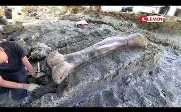 Embedded thumbnail for ပြင်သစ်နိုင်ငံ အနောက်တောင်ပိုင်းတွင် ဧရာမဒိုင်နိုဆောကြီး၏ ပေါင်ရိုးကို ရှာဖွေတွေ့ရှိ 