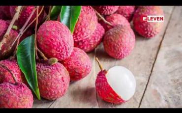 Embedded thumbnail for အိန္ဒိယနိုင်ငံတွင် လိုင်ချီးသီး အဆိပ်သင့်မှုနှင့် ဆက်နွှယ်နေသည့် ဦးနှောက်ရောင် ရောဂါကြောင့် ကလေးငယ် ၅၀ နီးပါး သေဆုံးခဲ့