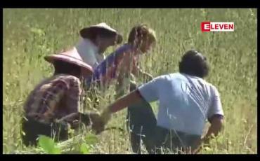 Embedded thumbnail for လက်ပံတောင်းတောင် ကြေးနီစီမံကိန်းတောင်ဘက်တွင် ဒေသခံများ စိုက်ပျိုးထားသည့် သီးနှံစိုက်ခင်း ၁၃၈ ဒသမ ၅၅ ဧက ထိခိုက်ပျက်စီးမှုနှင့် ပတ်သက်၍ ပြည်ထောင်စုအစိုးရထံ တင်ပြထားဟု ဆို 