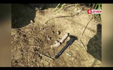 Embedded thumbnail for မျိုးသုဉ်းလုနီးဖြစ်နေသော ရှားပါးမျိုးစိတ်ဖြစ်သည့် ကြောင်တံငါမျိုးစိတ် ဧရာဝတီတိုင်းဒေသကြီးတွင် ကျန်ရှိနေသေးကြောင်း ပထမဆုံးအကြိမ် မှတ်တမ်းရရှိ