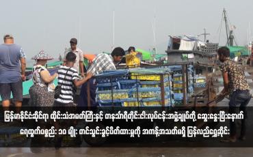 Embedded thumbnail for မြန်မာနိုင်ငံဆိုင်ရာ ထိုင်းသံအမတ်ကြီးနှင့် တနင်္သာရီတိုင်းငါးလုပ်ငန်းအဖွဲ့ချုပ်တို့ ဆွေးနွေးပြီးနောက် ရေထွက်ပစ္စည်း ၁၀ မျိုး တင်သွင်းခွင့်ပိတ်ထားမှုကို အကန့်အသတ်မရှိ ပြန်လည်ရွှေ့ဆိုင်း