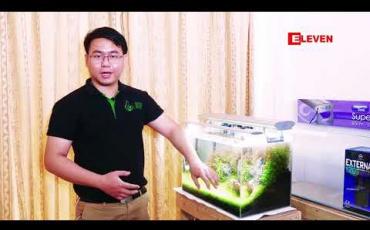 Embedded thumbnail for Hobby Talkie (ရုပ်သံအစီအစဉ်) 