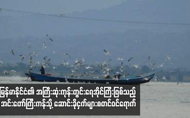 Embedded thumbnail for မြန်မာနိုင်ငံ၏အကြီးဆုံးကုန်းတွင်းရေအိုင်ကြီးဖြစ်သည့်အင်းတော်ကြီးကန်သို့ဆောင်းခိုငှက်များစတင်ဝင်ရောက်