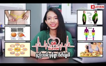 Embedded thumbnail for နည်းလမ်းမှန်စွာဝိတ်ချပါ (ရုပ်သံအစီအစဉ်)