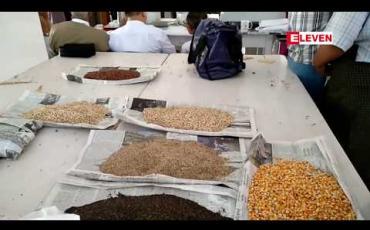 Embedded thumbnail for တရုတ်ဝယ်လက်ရှိနေမှုကြောင့် ရေသွင်းပဲတီစိမ်း(အညာစ) မန္တလေးစျေးကွက်တွင် ယခင်နှစ်ကာလတူထက် စျေးပိုကောင်းနေ
