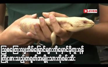 Embedded thumbnail for သြစတြေးလျအိမ်မြှောင်များကို မှောင်ခိုကူးရန်ကြိုးစားသည့် တရုတ်အမျိုးသားအား ဖမ်းဆီး