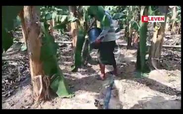 Embedded thumbnail for ကချင်ပြည်နယ်အတွင်းက စိုက်ပျိုးရေး လုပ်ငန်းများကို ရင်းနှီးမြုပ်နှံမှု လုပ်ထုံးလုပ်နည်းများအတိုင်း ကိုင်တွယ်မည်ဟု ပြည်နယ်အစိုးရပြော