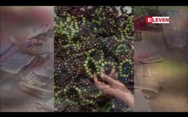 Embedded thumbnail for မန္တလေးမြို့တွင်အဆောင်ပုတီးများ ရောင်းချရင်းအလှူခံနေသောတရုတ်ဘုန်းကြီးအယောင်ဆောင်သူလေးဦးကိုလူဝတ်လဲစစ်ဆေးမှုများပြုလုပ်