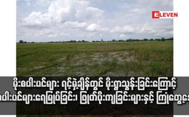 Embedded thumbnail for မိုးစပါးပင်များ ရင့်မှဲ့ချိန်တွင် မိုးရွာသွန်းခြင်းကြောင့် စပါးပင်များရေမြုပ်ခြင်း၊ ဖြုတ်ပိုးကျခြင်းများနှင့် ကြုံတွေ့နေ