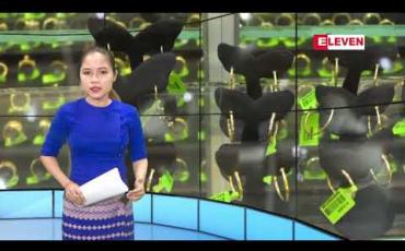 Embedded thumbnail for ဇွန် ၂၅ ရက် ညပိုင်းသတင်းအစီအစဉ်