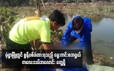 Embedded thumbnail for မုံရွာမြို့တွင် စွန့်ပစ်ခံထားရသည့် မွေးကင်းစအရွယ် ကလေးငယ်အလောင်း တွေ့ရှိ