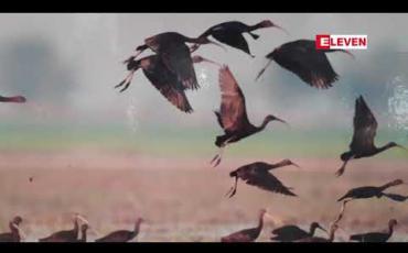 Embedded thumbnail for မိုးယွန်းကြီးအင်းဘေးမဲ့တောတွင် တရားမဝင်ငါးဖမ်းသူနှင့်ဘီလားဖမ်းသူ ၂၀၀ မှ ၃ဝဝကြားရှိ၍ လုံခြုံရေးအင်အား နှင့်မမျှဖြစ််နေဟု အင်းတာဝန်ရှိသူ ပြော