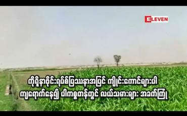 Embedded thumbnail for ကိုရိုနာဗိုင်းရပ်စ်ပြဿနာအပြင် ကျိုင်းကောင်များပါ ကျရောက်နေ၍ ပါကစ္စတန်တွင် လယ်သမားများ အခက်ကြုံ