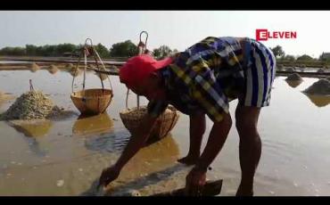 Embedded thumbnail for ဧရာဝတီတိုင်းအတွင်းရှိ ဆားလယ်များတွင် ဆားကြမ်းများ စတင်ထွက်ရှိနေပြီဖြစ်သော်လည်း ဝယ်ယူသူ မရှိဖြစ်နေ