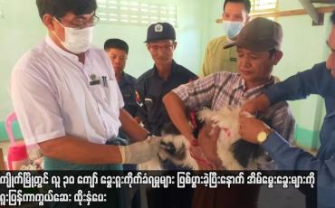 Embedded thumbnail for အိမ်မွေးခွေးများကို ခွေးရူးပြန်ကာကွယ်ဆေးထိုးနှံပေး