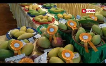 Embedded thumbnail for မန္တလေးတိုင်းဒေသကြီးအတွင်းရှိ သရက် ခြံ ၃၀၊ကော်ဖီခြံ ၁၄ခြံ နင့်စတော်ဘယ်ရီခြံ ၈ခြံ ကို တို့ကို GAP အသိအမှတ်ပြု လက်မှတ် ထုတ်ပေးထား 