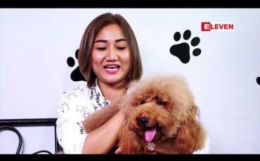 Embedded thumbnail for Hello Pets (ရုပ်သံအစီအစဉ်)