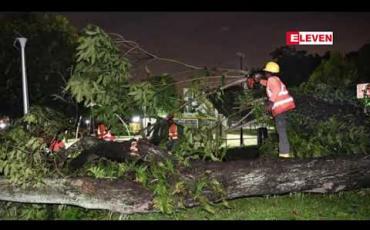 Embedded thumbnail for စင်ကာပူနိုင်ငံရှိ ပန်းခြံတစ်ခုတွင် သစ်ပင်လဲကျမှု ဖြစ်ပွားပြီးနောက် လူ ၁၄ ဦးကို ဆေးရုံသို့ ပို့ဆောင်ပေးခဲ့ရ