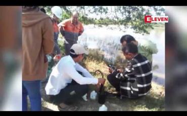 Embedded thumbnail for လက်ပံတောင်းတောင်ဒေသခံများ စိုက်ပျိုးထားသည့်သီးနှံစိုက်ခင်းများ ပျက်ဆီးခဲ့မှုတွင် သီးနှံလျော်ကြေး မှန်ကန်စွာ ပေးရန်အတွက် လုပ်ဆောင်နေမှုကြောင့် အချိန်ကြာမြင့်တာဖြစ်ကြောင်းတိုင်းဒေသကြီး စည်ပင်ဝန်ကြီးပြောကြား 