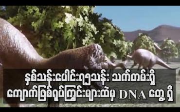Embedded thumbnail for နှစ်ပေါင်း ၇၅ သန်းသက်တမ်းရှိ ကျောက်ဖြစ်ရုပ်ကြွင်းများထဲမှ DNA ကို သုတေသီများ ရှာဖွေတွေ့ရှိ