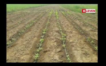 Embedded thumbnail for မန္တလေးတိုင်းအတွင်းရှိ တောင်သူများကို ဆောင်းသီနှံအတွက် စိုက်ပျိုးစရိတ်ကျပ်သန်းပေါင်း ၁၇၀၀၀ ကျော် ထုတ်ချေးပေးထား