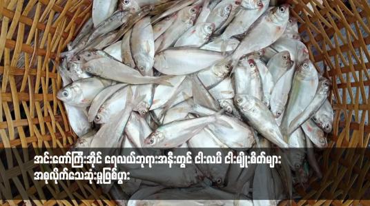 Embedded thumbnail for အင်းတော်ကြီးအိုင် ရေလယ်ဘုရားအနီးတွင် ငါးလပိ ငါးမျိုးစိတ်များ အစုလိုက်သေဆုံးမှုဖြစ်ပွား